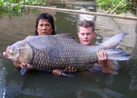 Siamese giant carp fishing in Thailand