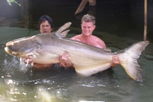 198lb Mekong giant catfish caught in Bangkok