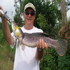 Snakehead, barramundi & catfish lure fishing package - Pilot 111 Fishing Ponds