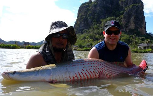 Jurassic Arapaima Fishing in Thailand
