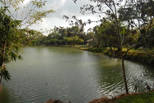John Wilson's Lake Garden Thailand