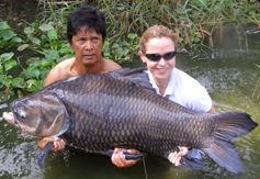 Siamese Giant Carp Fishing Bangkok