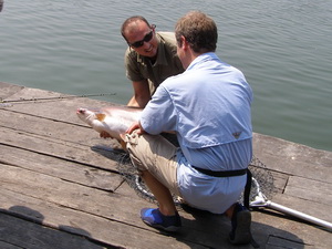 Filming Extreme Fishing Thailand with Robson Green at Bungsamran Lake in Bangkok with Eddy Mounce