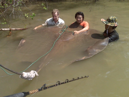 Extreme Fishing TV show with Robson Green stingray fishing in Thailand