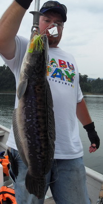Fishing in Malaysia for giant snakehead with Fish Thailand