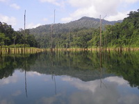 snakehead fishing Temenggor Dam Malaysia