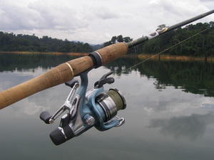 Shimano Spirex 4000RG spinning reel great for snakehead fishing