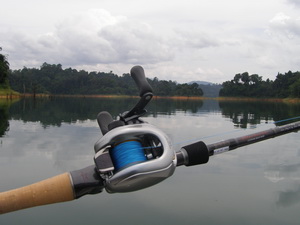 Shimano MG7 baitcasting reel for snakehead fishing