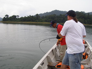 lure fishing tackle for giant snakehead fishing in Malaysia