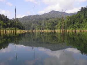 Temenggor Dam - Perak - Malaysia
