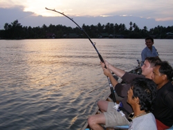 Freshwater stingray fishing in Thailand