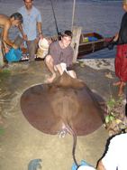successful freshwater stingray fishing in thailand
