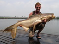 Trevor Howard's fishing in Thailand testimonial