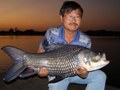 testimonial of siamese carp fishing in thailand