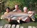 Robert Grey 220lb Mekong giant catfish from Bangkok Thailand