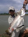 Barramundi Fishing Thailand Testimonial
