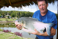 Pacu fishing in Thailand at Hua Hin Fishing Resort