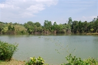 John Wilson's Lake Garden private fishing in Thailand
