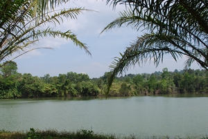 John Wilson's Lake Garden in Thailand