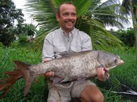 Bighead Carp Thailand