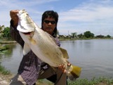 fly fishing for barramundi thailand