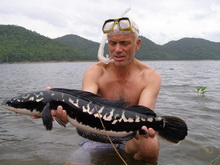 Jeremy Wade with a giant snakehead from Khao Laem Dam in Kanchanburi