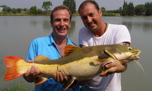 Redtail Catfish filmed by Extreme Fishing with Robson Green & Eddie Mounce