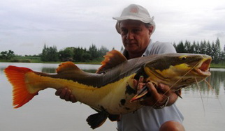 Thailand fishing for redtail catfish at IT Lake Monsters