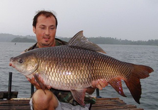 Eddie Mounce rohu fishing in Thailand