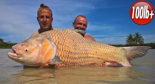 carp fishing thailand at Jurassic Mountain Resort