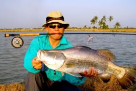 lure fishing in Bangkok for barramundi
