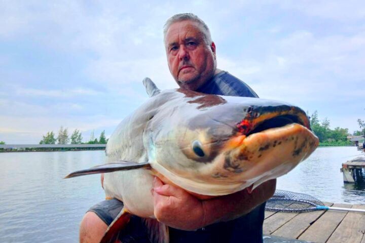 bungsamran lake Bangkok fishing in thailand