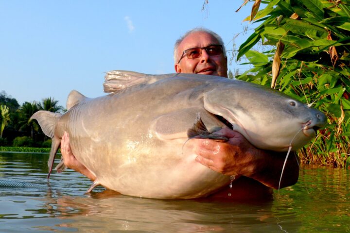 Rita Salween catfish fishing Jurassic Mountain