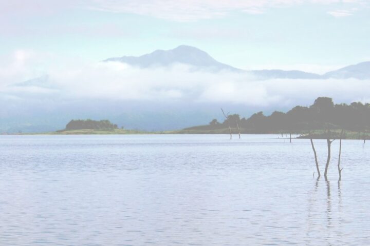 Fish thailand guided fishing holidays