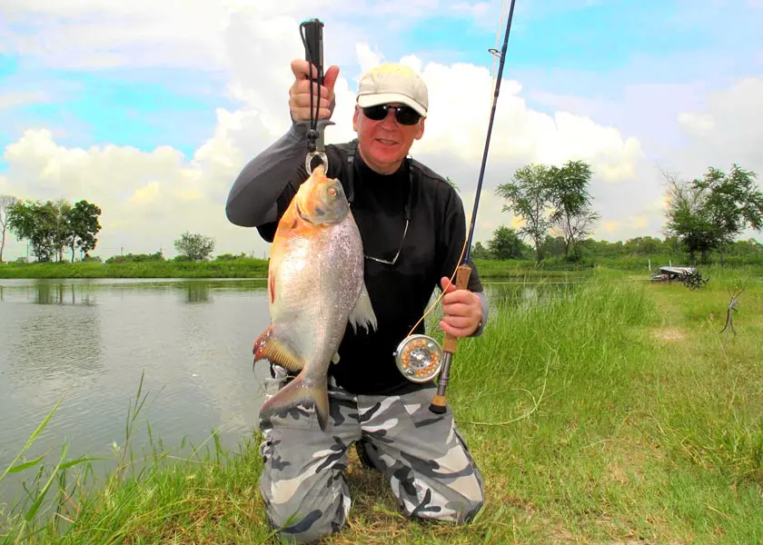 Pacu fishing Pilot 111 Ponds