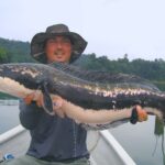 snakehead fishing in Malaysia
