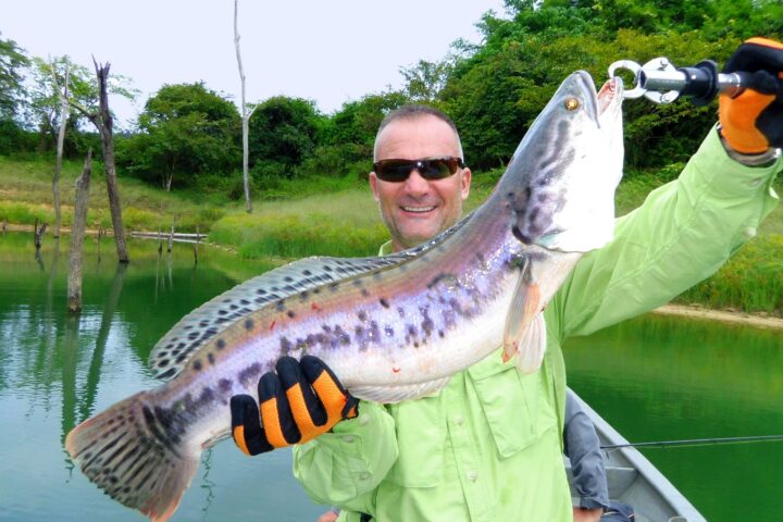 Snakehead Fishing Malaysia