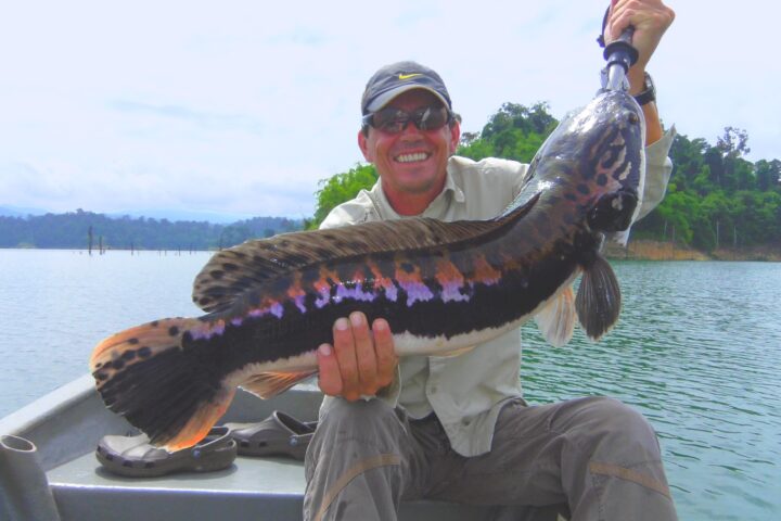 Snakehead Fishing Malaysia