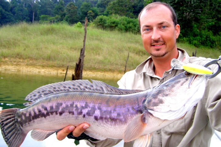 Snakehead Fishing Malaysia