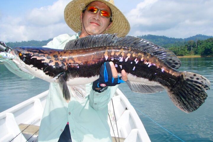 Lure Fishing Techniques for Snakehead