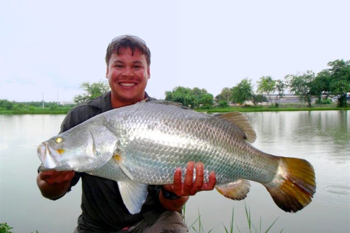 guided barramundi fishing tours thailand