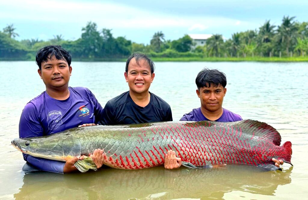 in the water with a big arapaima held by 3 guys in thailand