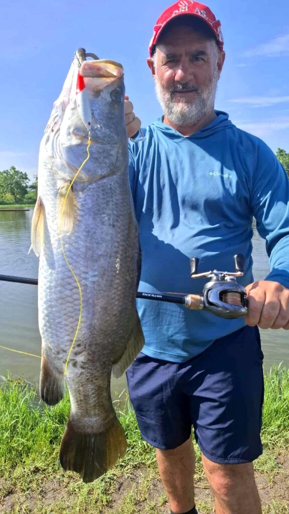 barramundi caught with Fish Thailand at Pilot 111