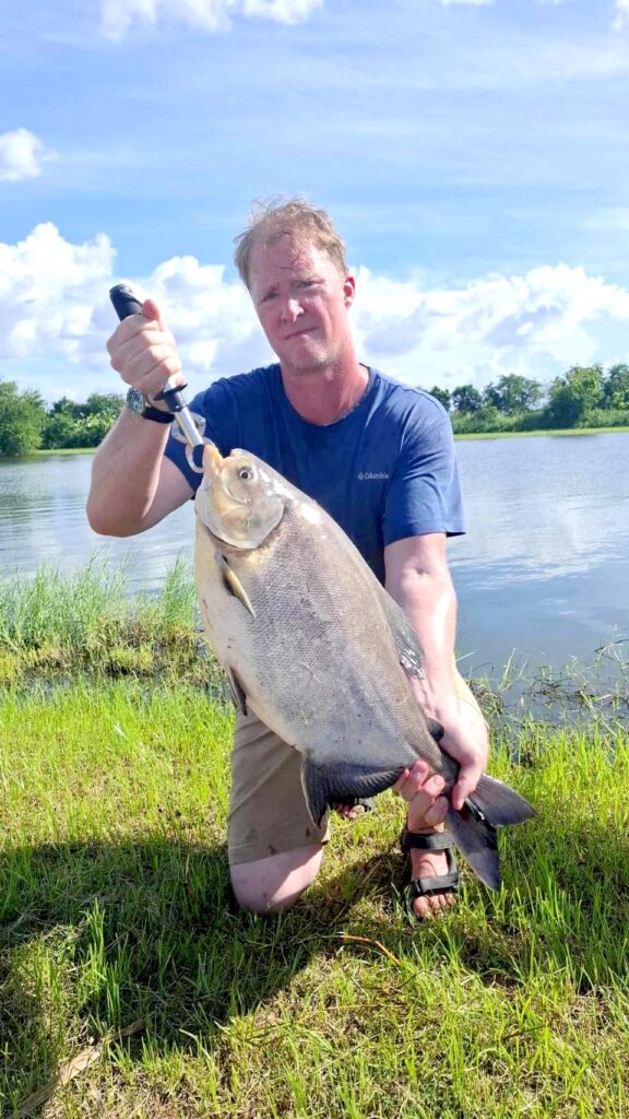 how to catch Pacu at pilot 111 with Fish Thailand