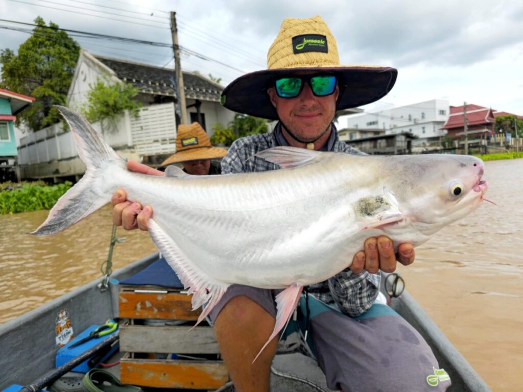Black ear catfish caught on the Chao Phraya River in Bangkok