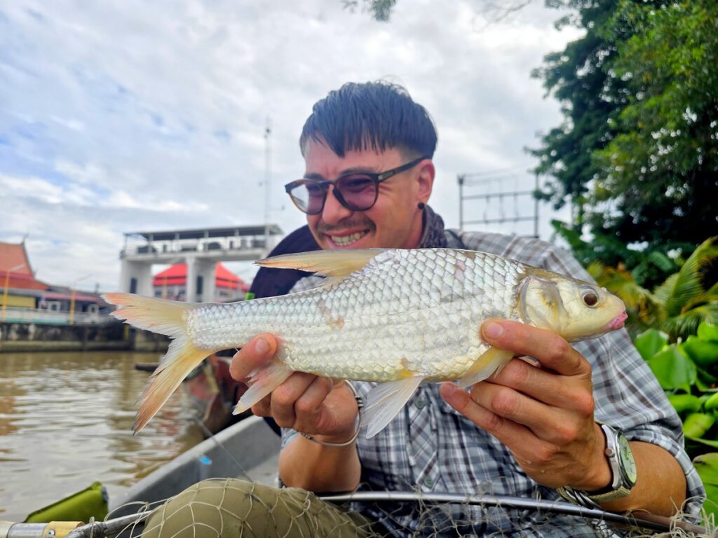 Catch the world's biggest carp species in Bangkok with Fish Thailand Bony lipped barb caught while river fishing in Bangkok, Thailand