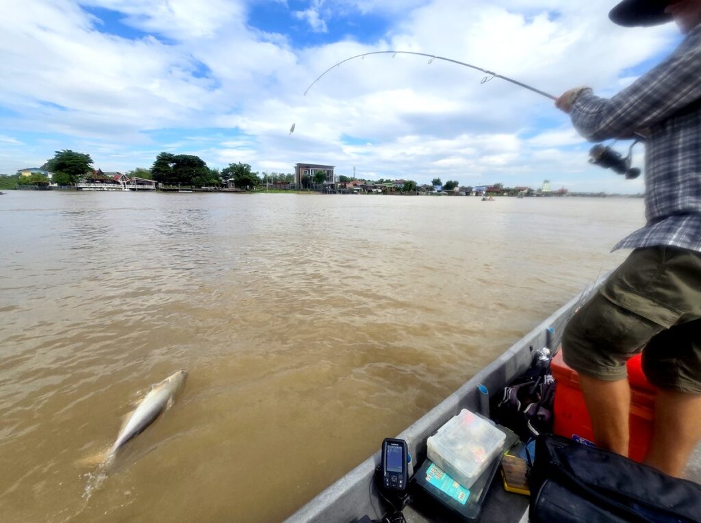 Man playing a powerful river fish from a boat on the Chao Phraya River in Bangkok
