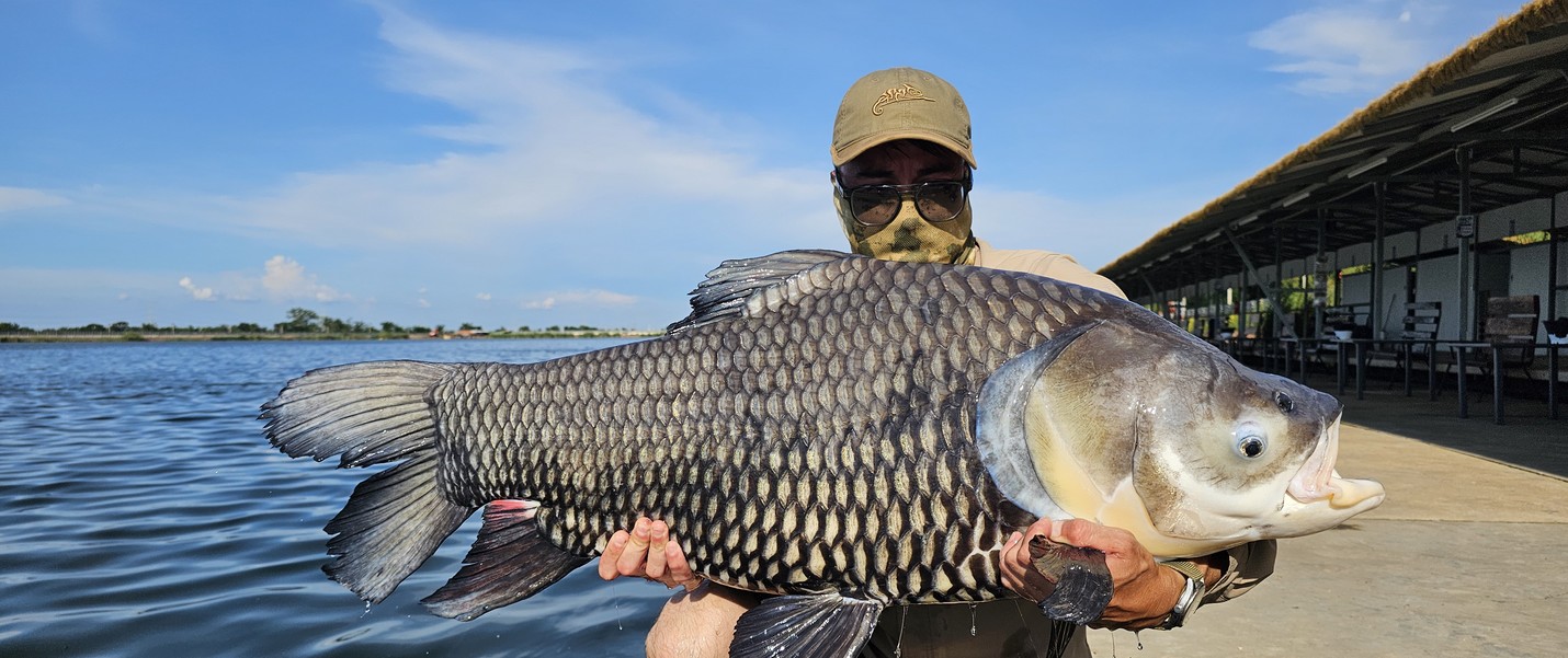 Angler holding giant carp at Bang Len Fishing Lake Thailand