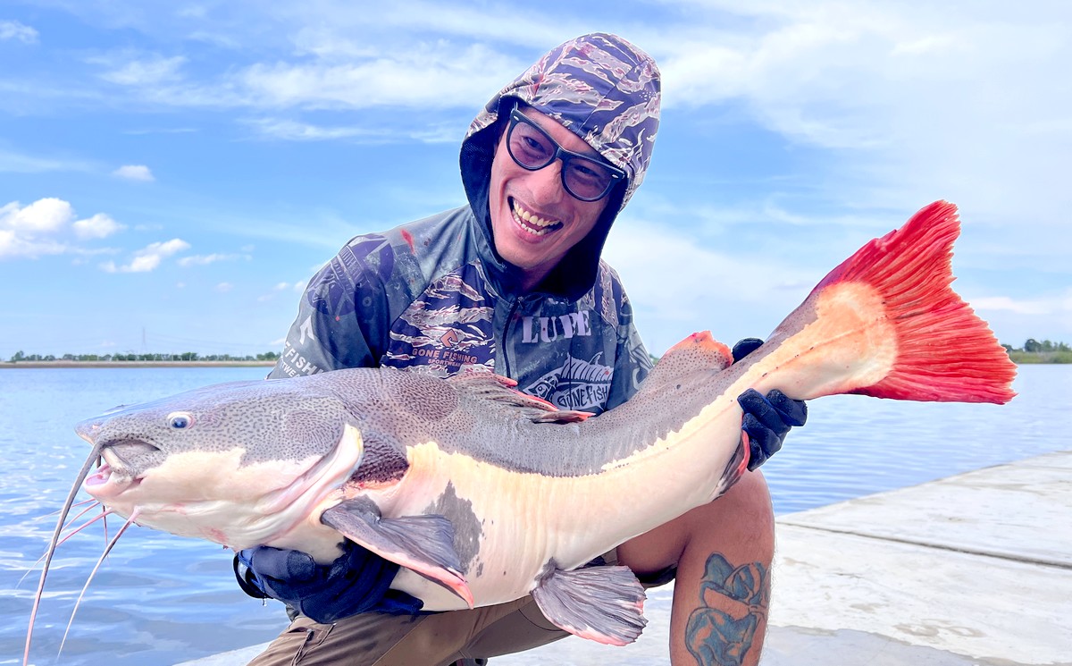 redtail catfish caught from Bang Len Fishing Lake