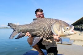 carp caught during a multi species fishing tour at bang len lake